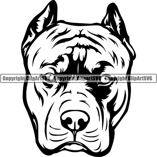 Pit Bull Dog Breed Head Face ClipArt SVG 020