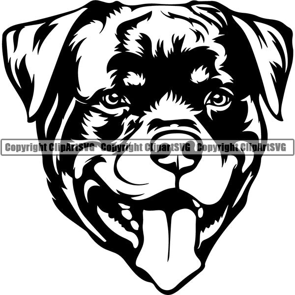 Rottweiler Dog Breed Head Face ClipArt SVG 006