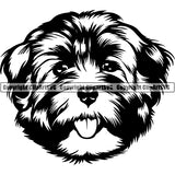 Havanese Dog Breed Head Face ClipArt SVG 004