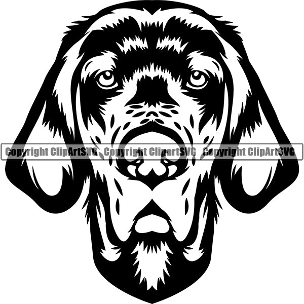 English Setter Dog Breed Head Face ClipArt SVG 002