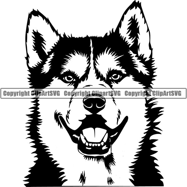 Siberian Husky Dog Breed Head Face ClipArt SVG 001