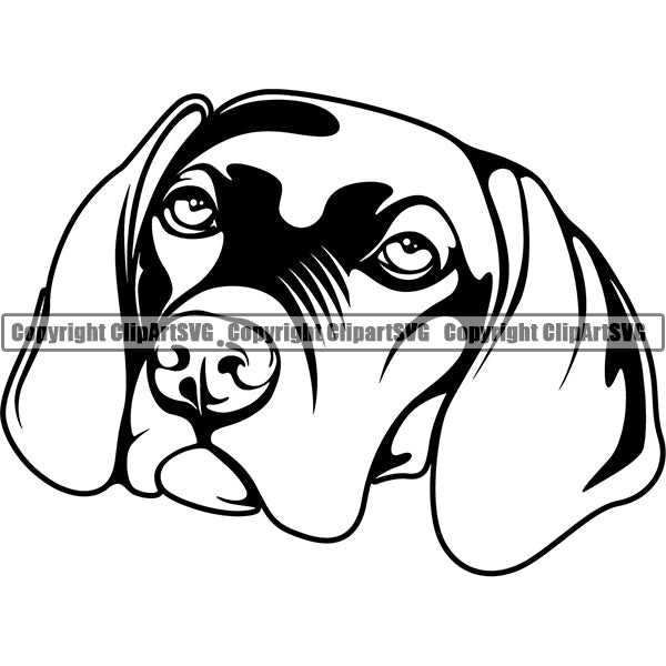 Vizsla Dog Breed Head Face ClipArt SVG 003