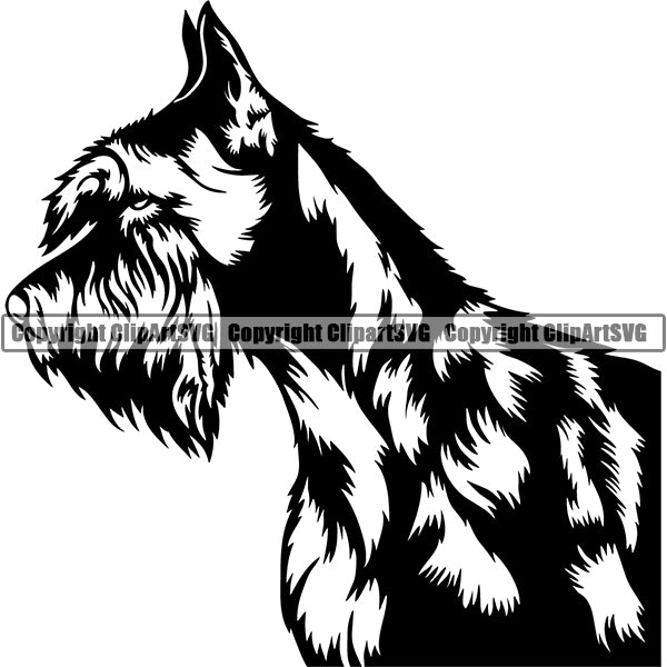 Schnauzer Dog Breed Head Face ClipArt SVG 006