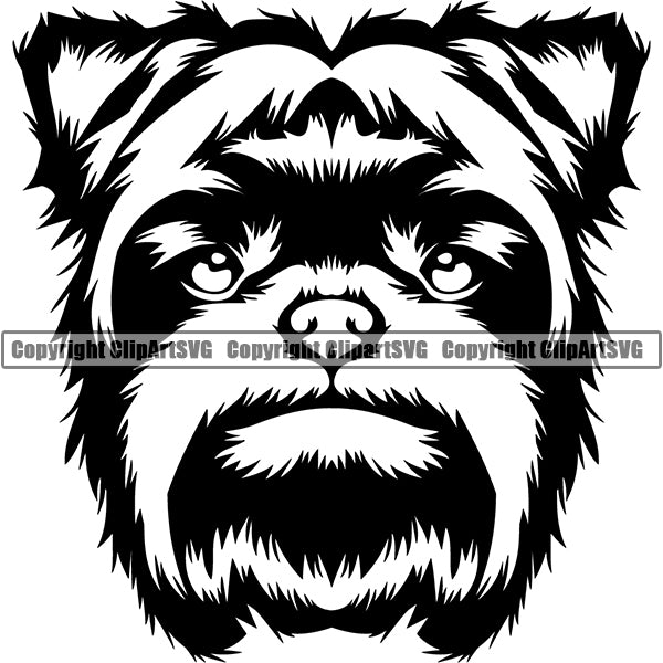 Affenpinscher Dog Breed Head Face Clipart SVG