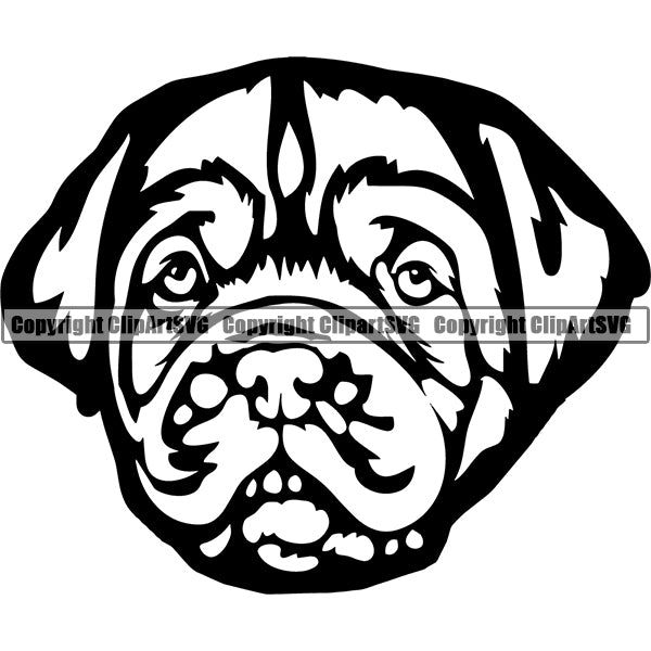 Animal Dog Dogue De Bordeaux Dog Breed Head Face ClipArt SVG 002