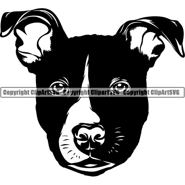 Pit Bull Dog Breed Head Face ClipArt SVG 032