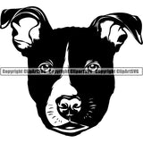Pit Bull Dog Breed Head Face ClipArt SVG 032