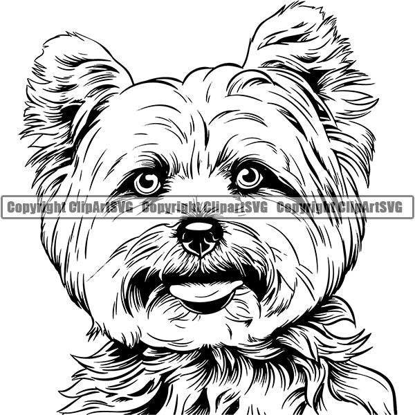 Yorkshire Terrier Dog Breed Head Face ClipArt SVG 004