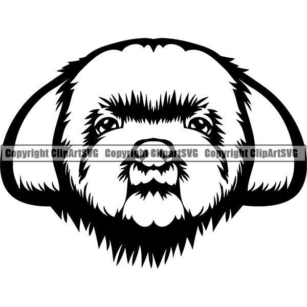 Shih Tzu Dog Breed Head Face ClipArt SVG 007