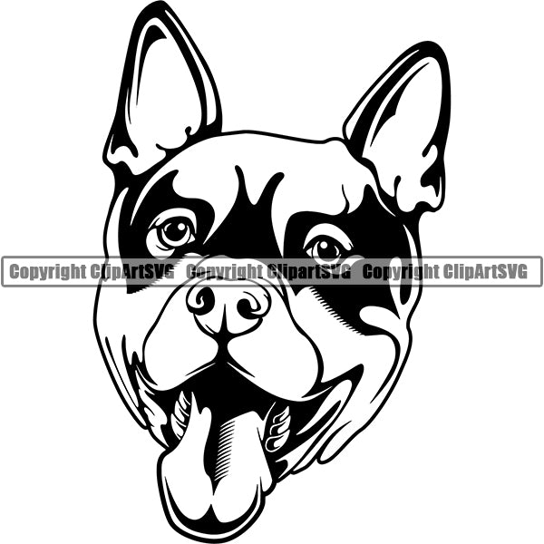 Thai Ridgeback Dog Breed Head Face ClipArt SVG 002