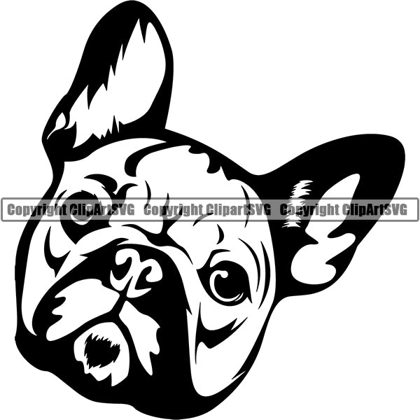 French Bulldog Dog Breed Head Face ClipArt SVG 003