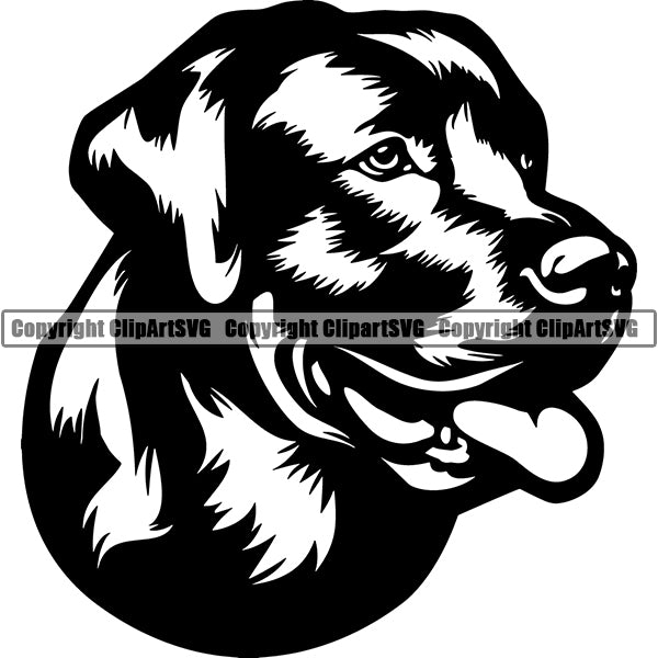 Labrador Retriever Dog Breed Head Face ClipArt SVG 009