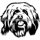 Havanese Dog Breed Head Face ClipArt SVG 002