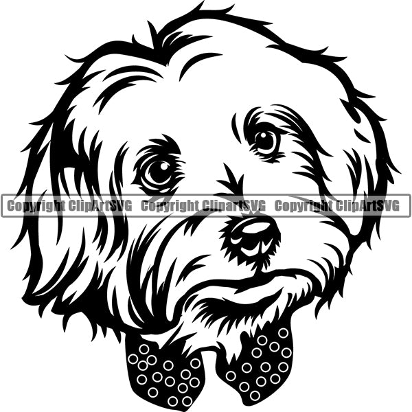 Maltese Dog Breed Head Face ClipArt SVG 004