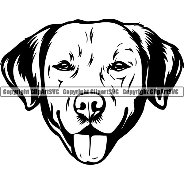Labador Retriever Dog Breed Head Face ClipArt SVG 002
