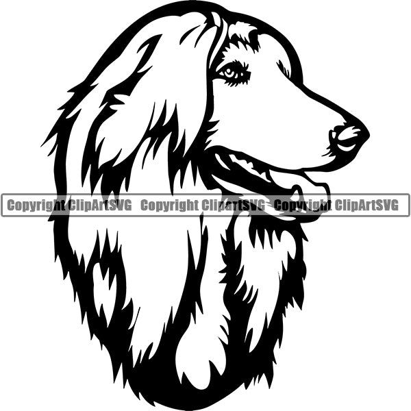 Afgan Hound Dog Breed Head Face Clipart SVG