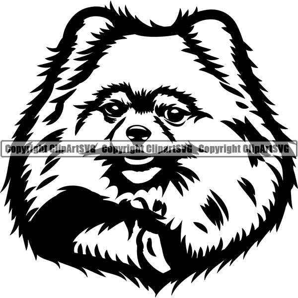 Pomeranian Dog Breed Head Face ClipArt SVG 002