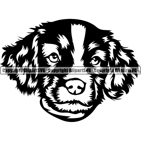 English Springer Spaniel Dog Breed Head Face ClipArt SVG 002