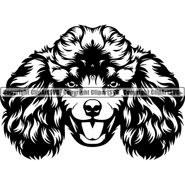 Poodle Dog Breed Head Face ClipArt SVG 003