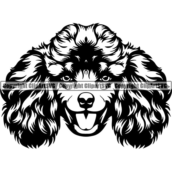 Poodle Dog Breed Head Face ClipArt SVG 003