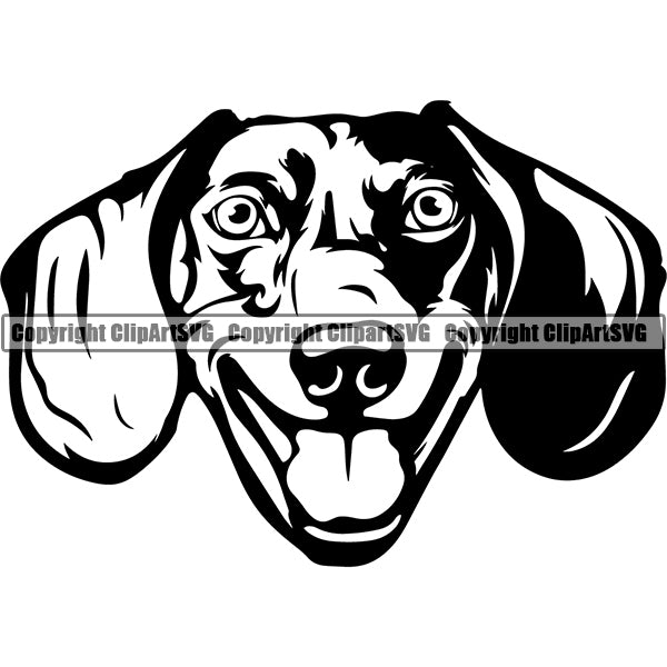 Animal Dog Dachshund Dog Breed Head Face ClipArt SVG 009