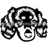 Animal Dog Dachshund Dog Breed Head Face ClipArt SVG 003