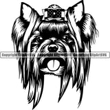 Yorkshire Terrier Dog Breed Head Face ClipArt SVG 013