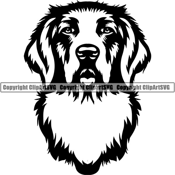 Golden Retriever Dog Breed Head Face ClipArt SVG 003