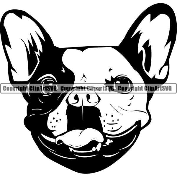 French Bulldog Dog Breed Head Face ClipArt SVG 005
