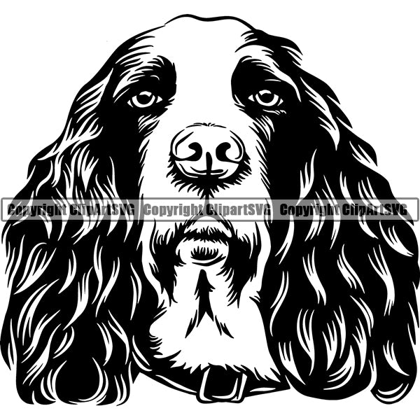 English Springer Spaniel Dog Breed Head Face ClipArt SVG 003