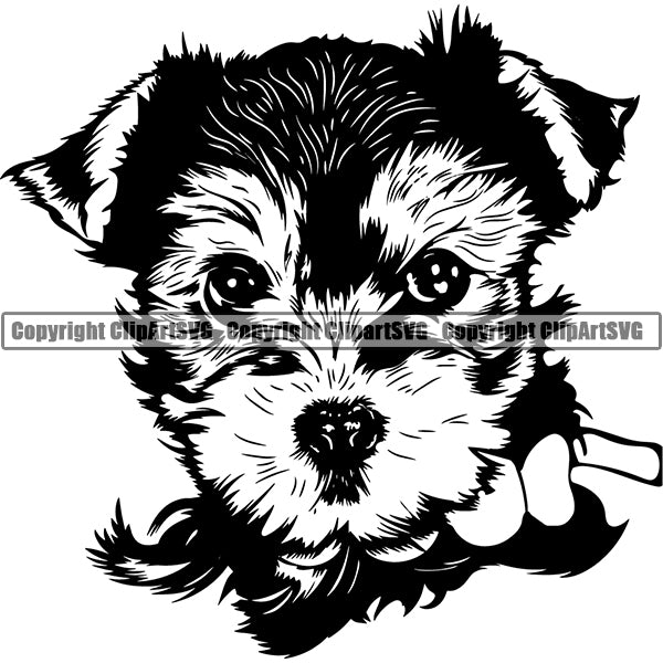 Yorkshire Terrier Dog Breed Head Face ClipArt SVG 007