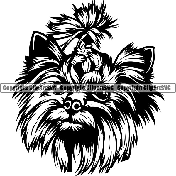 Yorkshire Terrier Dog Breed Head Face ClipArt SVG 006