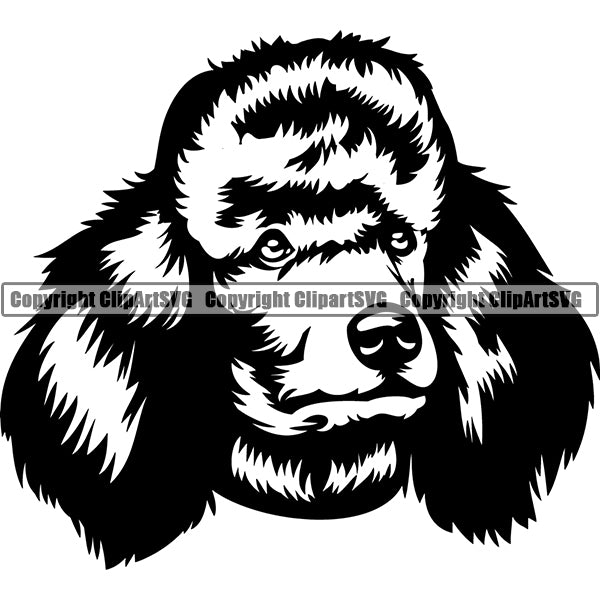 Poodle Dog Breed Head Face ClipArt SVG 008
