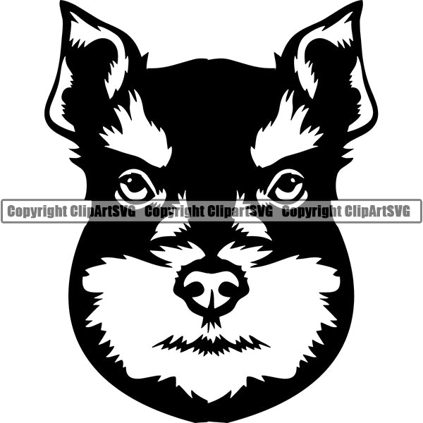 Schnauzer Dog Breed Head Face ClipArt SVG 003