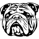 Animal Dog English Bulldog Dog Breed Head Face ClipArt SVG 011