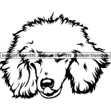 Poodle Dog Breed Head Face ClipArt SVG 001