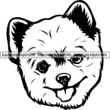 Pomeranian Dog Breed Head Face ClipArt SVG 009