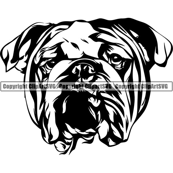 Animal Dog English Bulldog Dog Breed Head Face ClipArt SVG 008