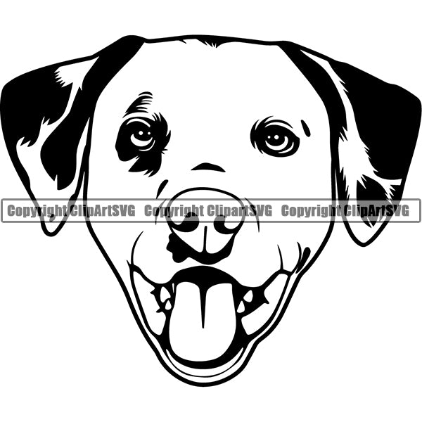 Animal Dog Dalmatian Dog Breed Head Face ClipArt SVG 003