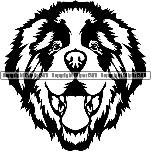 Saint Bernard Dog Breed Head Face ClipArt SVG 006
