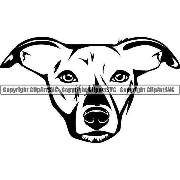 West Highland White Terrier Dog Breed Head Face ClipArt SVG 004
