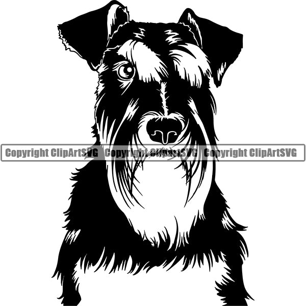 Schnauzer Dog Breed Head Face ClipArt SVG 010