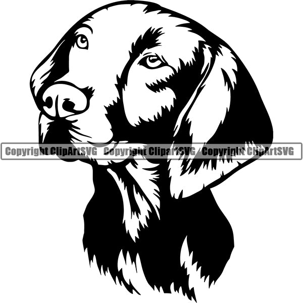Vizsla Dog Breed Head Face ClipArt SVG 001