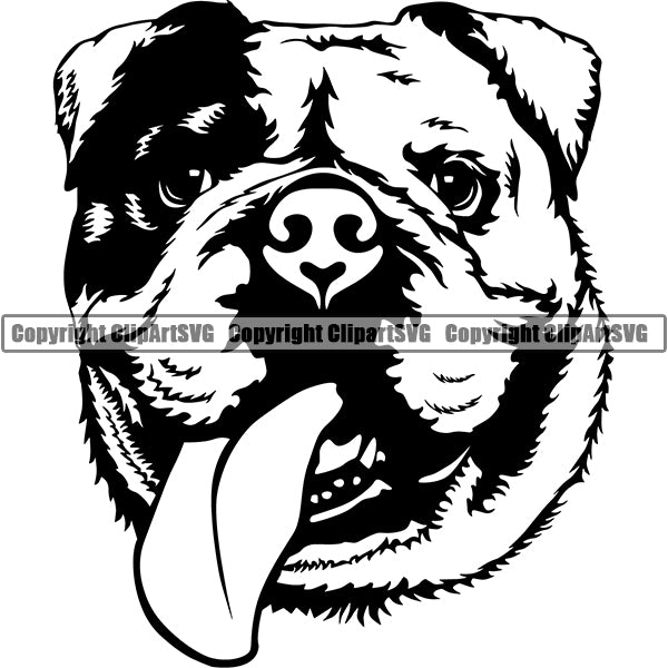 Animal Dog English Bulldog Dog Breed Head Face ClipArt SVG 015