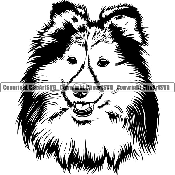 Shetland Sheepdog Dog Breed Head Face ClipArt SVG 001