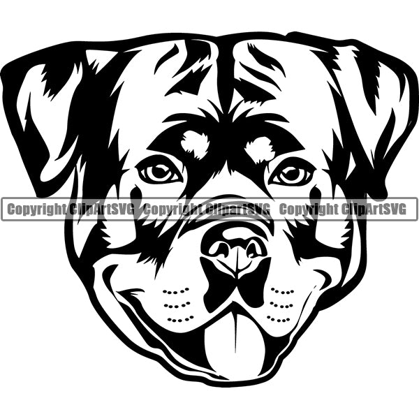 Rottweiler Dog Breed Head Face ClipArt SVG 003