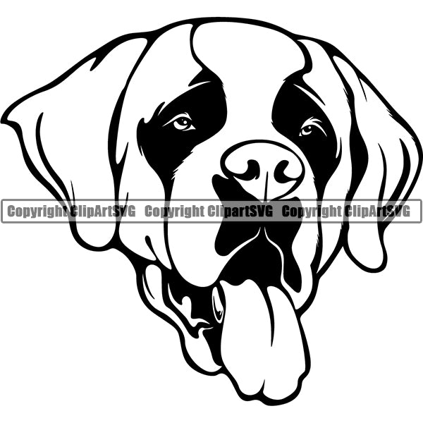 Saint Bernard Dog Breed Head Face ClipArt SVG 008