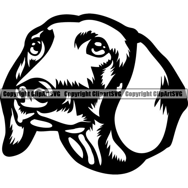 Animal Dog Dachshund Dog Breed Head Face ClipArt SVG 006