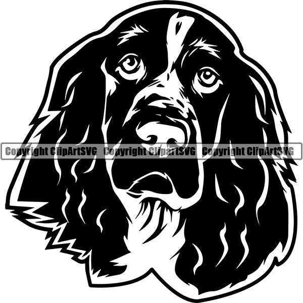 English Springer Spaniel Dog Breed Head Face ClipArt SVG 005