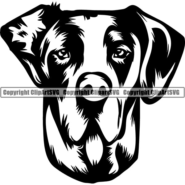 Great Dane Dog Breed Head Face ClipArt SVG 009